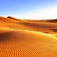 亲子游：穿越腾格里沙漠6日游学