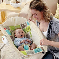 Prime会员：Fisher-Price 费雪 Newborn Rock ‘N Play 儿童摇椅