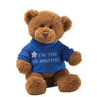 中亚PRIME会员：GUND I‘m Big Brother 毛绒熊玩具（12英寸） *3件