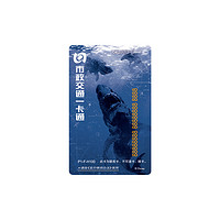 北京市政交通一卡通 标准纪念卡 迪士尼系列 D-4 加勒比海盗5（2张一套）