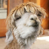 特价机票:东航 成都\/重庆\/西安\/福州-新西兰奥克