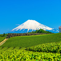 拼车游：日本东京-富士山 拼车一日游（河口湖+忍野八海+奥特莱斯）