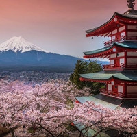 拼车游：日本东京富士山一日游