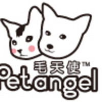 Pet Angel/毛天使
