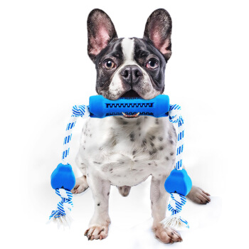 hoopet 华元宠具 狗狗磨牙棒