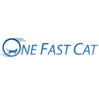 ONE FAST CAT