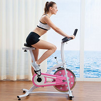 SUNNY HEALTH & FITNESS P8100/SF-B1203 家用健身动感单车