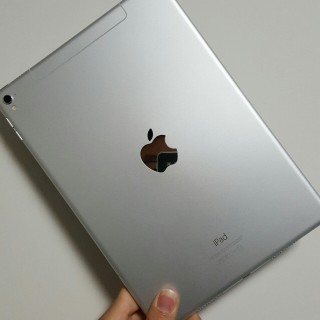 9.7英寸ipadpro,12.9英寸ipadpro 全新美版ipad pro 9.7英寸 银色 256gb wifi 4g版