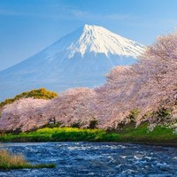 当地参团：日本大阪+京都+奈良一日游