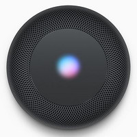 Apple 苹果 HomePod 智能音箱 New other版