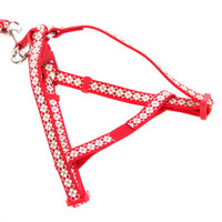 优莱仕 狗胸背带牵引绳 红色 XS-超小型 