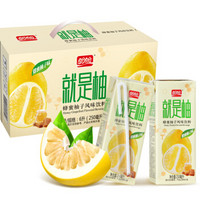 PANPAN FOODS 盼盼 就是柚 蜂蜜柚子味果汁飲料250ml*24盒  植物飲料 整箱裝