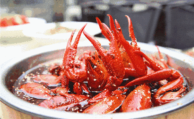 首页 旅游出行 旅游周边 餐饮与服务 自助餐 文章详情 选用古越龙山