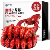 今锦上 麻辣小龙虾 4-6钱 净虾1kg