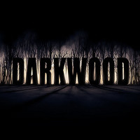 历史低价：《Darkwood（阴暗森林）》PC数字版游戏