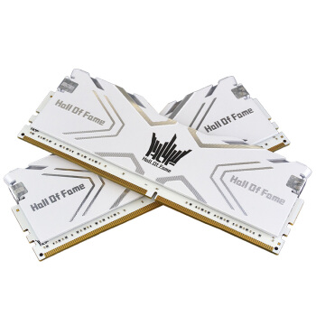 GALAX/影驰 名人堂HOF DDR4台式机内存
