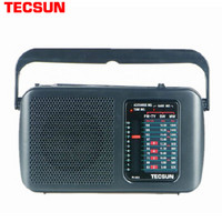 TECSUN 德生 R303 收音机
