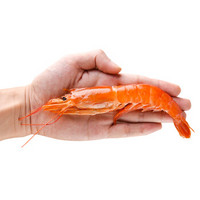 海买 冷冻阿根廷红虾 L2级 40-50只 (2kg)