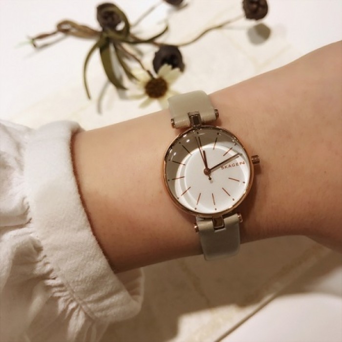 SKAGEN SKW2643 女士时装腕表