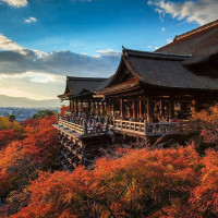 特价机票