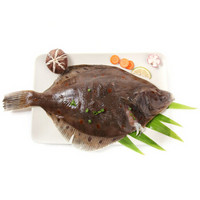 Seamix 禧美海产 荷兰花斑鲽鱼 (500g)