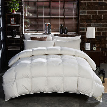 Bejirog 北极绒 纯棉羽毛被 100%鹅毛羽毛被 冬被 约6.5斤 200*230cm 商务白