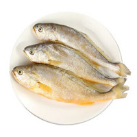 东海小黄鱼 500g 3-4条 袋装 海鲜水产