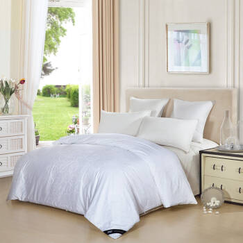 SOMERELLE 安睡宝 尊享蚕丝夏被 200*230cm