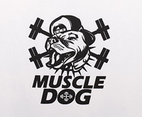 Muscle Dog/肌肉狗