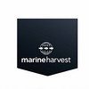 Marine Harvest/美威