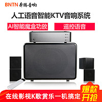 BNTN 奔腾 AV-960 智能语音AI音响系统