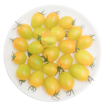 绿鲜知 黄圣女果  黄珍珠番茄 约500g 新鲜蔬菜