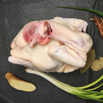 西南冷 冷冻老鸡 大客户量贩装 9.5kg 禽肉蛋品