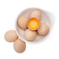 东篱阳光 果园散养鸡蛋30枚 新鲜鸡蛋 破损包赔