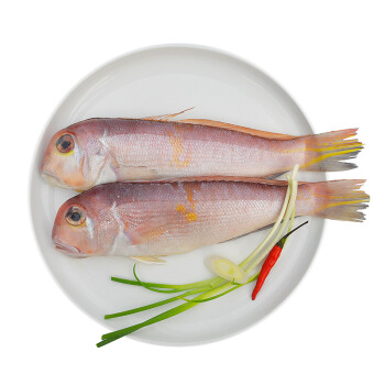 大洋世家 舟山野生马头鱼(方头鱼) 1kg/袋 4条 火锅食材  海鲜水产 鱼