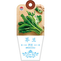 北京东升种业（DS）芥兰种子 四季蔬菜 家庭阳台 庭院种植200粒/袋