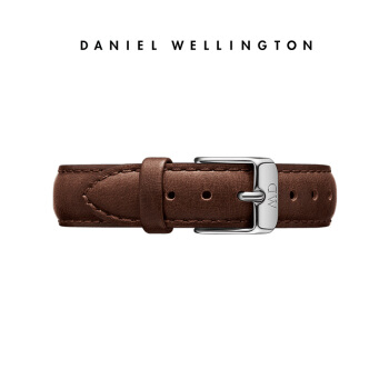 Daniel Wellington DanielWellington）DW表带14mm皮带银色针扣女款DW00200147（适用于32mm表盘系列）