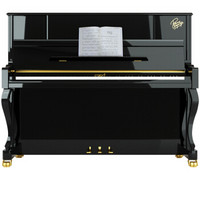CAROD 卡罗德 全新演奏立式钢琴CJ3 钢琴王子 理查德签名 代言款 123高度 黑色