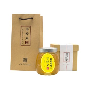 等蜂来 蜂蜜礼盒 田园百花纯蜂蜜618g 送礼袋  过节送礼公司福利专属定制礼盒