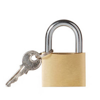 玛斯特（Master Lock）黄铜挂锁家用实心仓库锁大门锁CAD40MCN