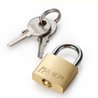玛斯特（Master Lock）黄铜迷你挂锁家用橱柜宿舍衣柜日记本挂锁CAD20MCN