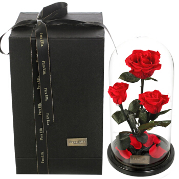 Para Ella 6朵红色永生花玫瑰花礼盒 母亲节礼物
