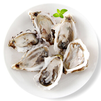 渔传播 FISHERY PROPAGATION 大连活鲜生蚝 6只 800g 盒装 海鲜水产 烧烤食材
