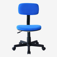山业 电脑椅 人体工学网布椅 经济实惠型家庭用椅/职员椅子/转椅 可升降 蓝色SNC028BL