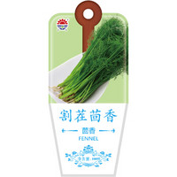 北京东升种业（DS）割茬茴香种子 四季蔬菜 家庭阳台 庭院种植100粒/袋
