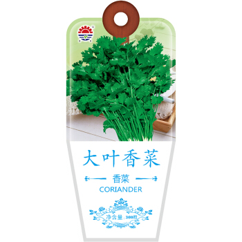 北京东升种业（DS）大叶香菜种子 四季蔬菜 家庭阳台 庭院种植300粒/袋