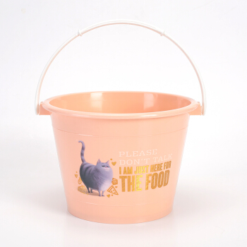 龙士达 LONGSTAR 水桶 塑料加厚儿童玩沙玩具桶爱宠多乐小提桶颜色随机 AC-6217