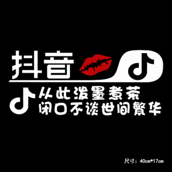 萱胜特 防水防晒反光贴 汽车贴纸划痕贴 抖音贴从此泼墨煮茶 银白色40*17cm