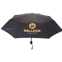 惠尔顿（Welldon）婴儿出行专用雨伞
