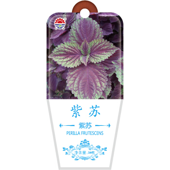 北京东升种业（DS）紫 苏种子 四季蔬菜 家庭阳台 庭院种植50粒/袋